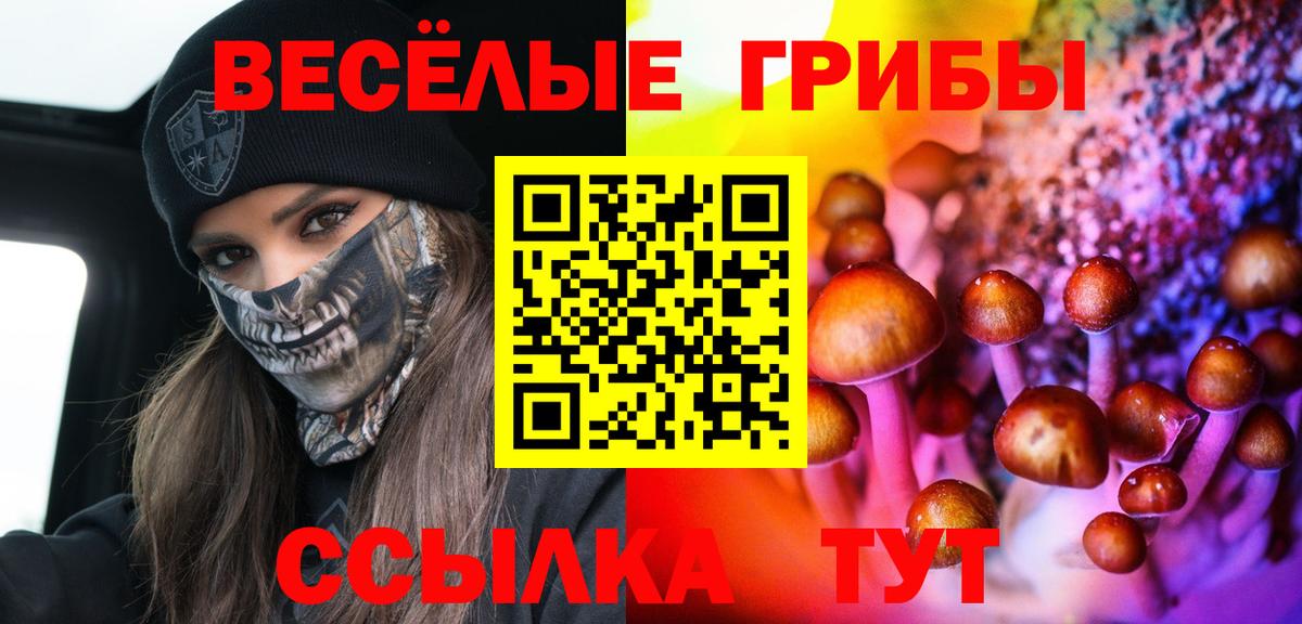 Солнечногорск  Псилоцибиновые грибы прущие грибы  Вход с VPN 